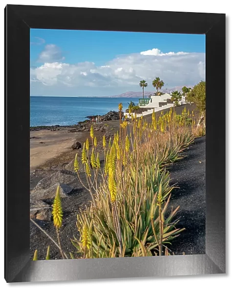 View of coastline and Playa El Barranquillo beach, Puerto Carmen, Lanzarote, Las Palmas, Canary Islands, Spain, Atlantic, Europe