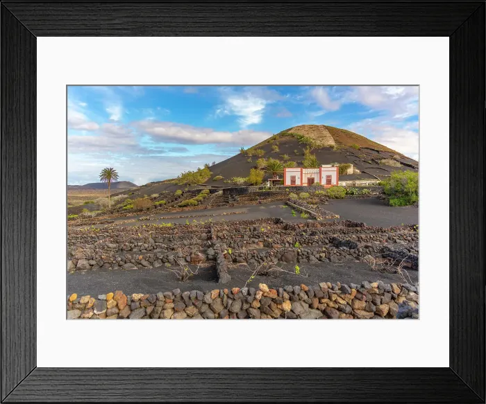Framed Print : View of volcanic landscape and vineyards near La Geria, La Geria, Lanzarote, Las Palmas, Canary Islands, Spain, Atlantic, Europe Framed Print : View of volcanic landscape and vineyards near La Geria, La Geria, Lanzarote, Las Palmas, Canary Islands, Spain, Atlantic, Europe