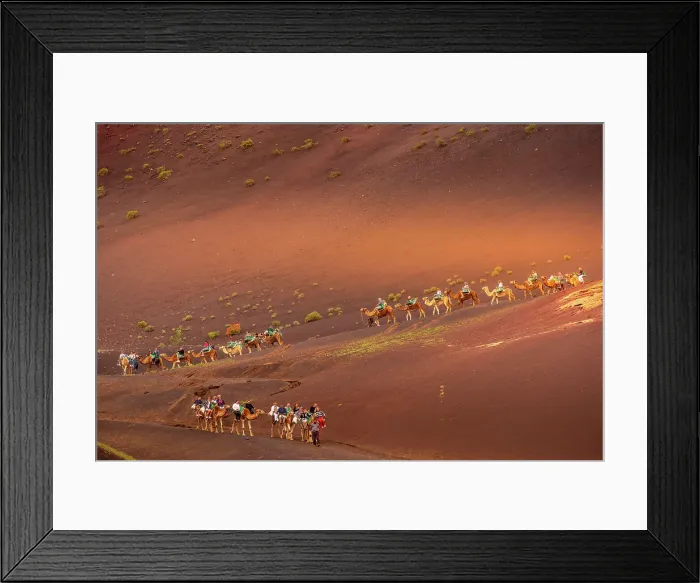 Framed Print : View of tourists riding camels, Timanfaya National Park, Lanzarote, Las Palmas, Canary Islands, Spain, Atlantic, Europe Framed Print : View of tourists riding camels, Timanfaya National Park, Lanzarote, Las Palmas, Canary Islands, Spain, Atlantic, Europe