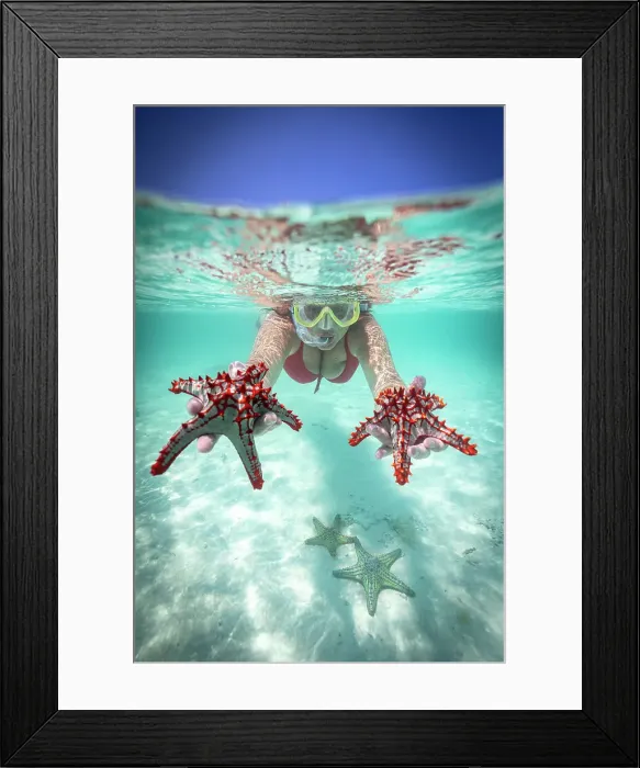 Framed Print : Woman holding two red starfish snorkeling in the turquoise sea in summer, Zanzibar, Tanzania, East Africa, Africa Framed Print : Woman holding two red starfish snorkeling in the turquoise sea in summer, Zanzibar, Tanzania, East Africa, Africa