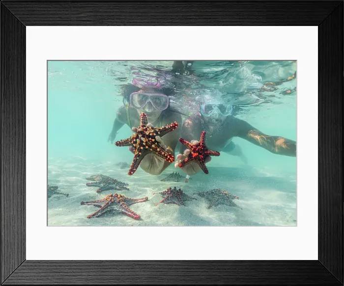 Framed Print : Man and woman with scuba masks showing starfish swimming underwater in the exotic lagoon, Zanzibar, Tanzania, East Africa, Africa Framed Print : Man and woman with scuba masks showing starfish swimming underwater in the exotic lagoon, Zanzibar, Tanzania, East Africa, Africa