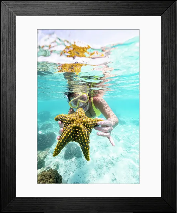 Framed Print : Woman showing a yellow starfish underwater in the tropical lagoon, Zanzibar, Tanzania, East Africa, Africa