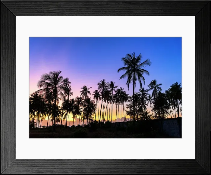 Framed Print : Silhouettes of palm trees under the romantic sky at dawn, Zanzibar, Tanzania, East Africa, Africa Framed Print : Silhouettes of palm trees under the romantic sky at dawn, Zanzibar, Tanzania, East Africa, Africa