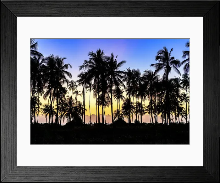 Framed Print : Tropical sunrise over silhouettes of palm trees, Zanzibar, Tanzania, East Africa, Africa Framed Print : Tropical sunrise over silhouettes of palm trees, Zanzibar, Tanzania, East Africa, Africa
