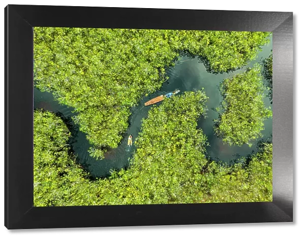 Aerial view of boat crossing through the deep jungle, Yanomami tribe, southern Venezuela, South America