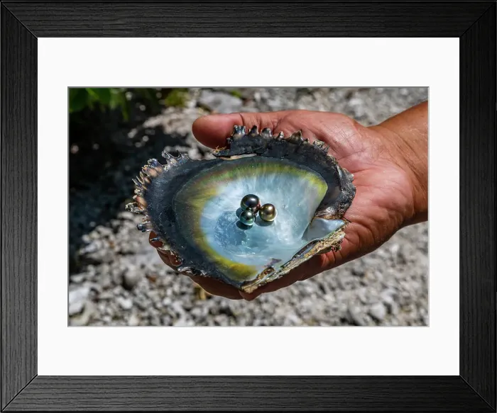 Framed Print : Pearl in a shell with Mother of Pearl, Gaugain Pearl Farm, Rangiroa atoll, Tuamotus, French Polynesia, South Pacific, Pacific