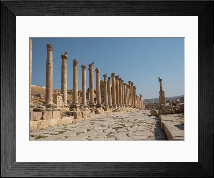 Framed Print : The Roman ruins with a long colonnade road, Jerash, Jordan, Middle East Framed Print : The Roman ruins with a long colonnade road, Jerash, Jordan, Middle East