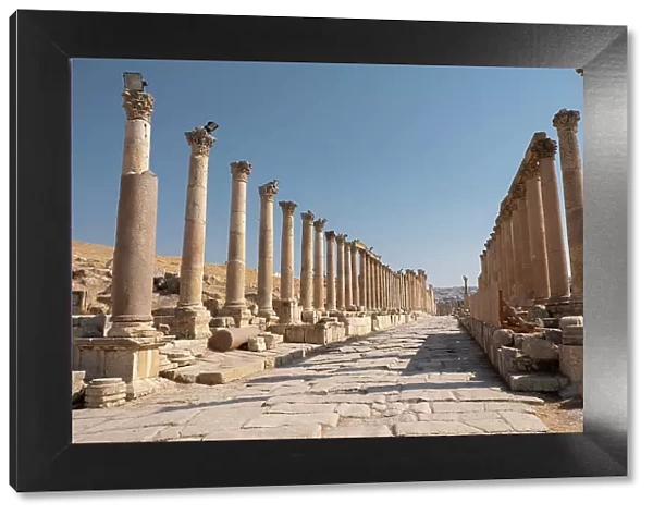 Ancient Roman road with colonnade, Jerash, Jordan, Middle East