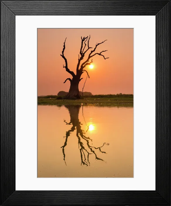 Framed Print : Tree reflecting in Taung Tha Man Lake near U-Bein bridge at sunset, Amarapura, Mandalay, Myanmar (Burma), Asia Framed Print : Tree reflecting in Taung Tha Man Lake near U-Bein bridge at sunset, Amarapura, Mandalay, Myanmar (Burma), Asia