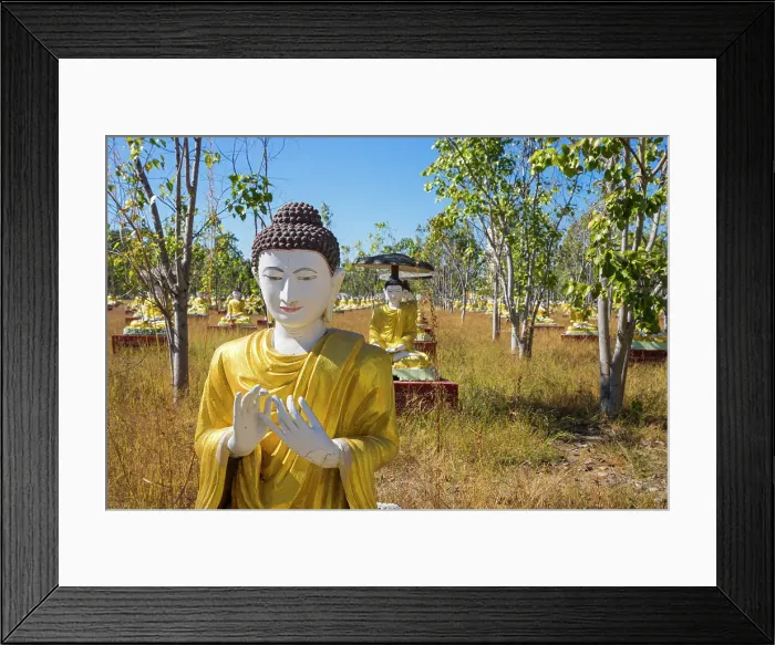 Framed Print : Garden of Thousand Buddhas, Monywa, Myanmar (Burma), Asia Framed Print : Garden of Thousand Buddhas, Monywa, Myanmar (Burma), Asia