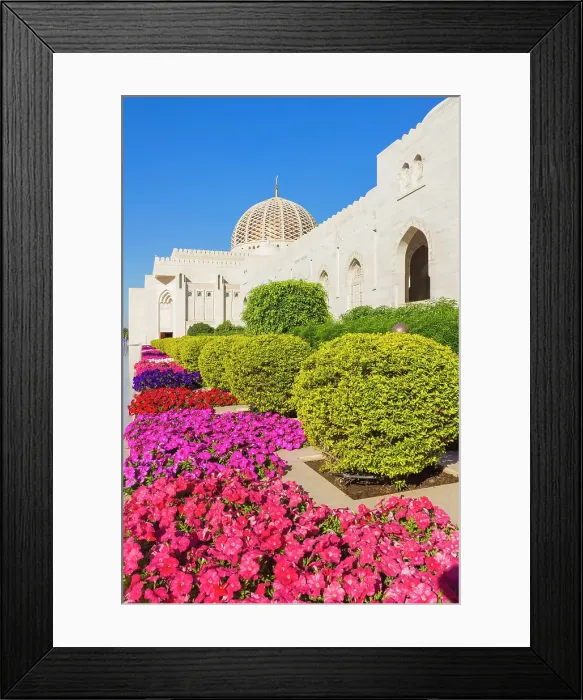 Framed Print : Flowers and dome of Sultan Gaboos Grand Mosque, Muscat, Oman, Middle East Framed Print : Flowers and dome of Sultan Gaboos Grand Mosque, Muscat, Oman, Middle East