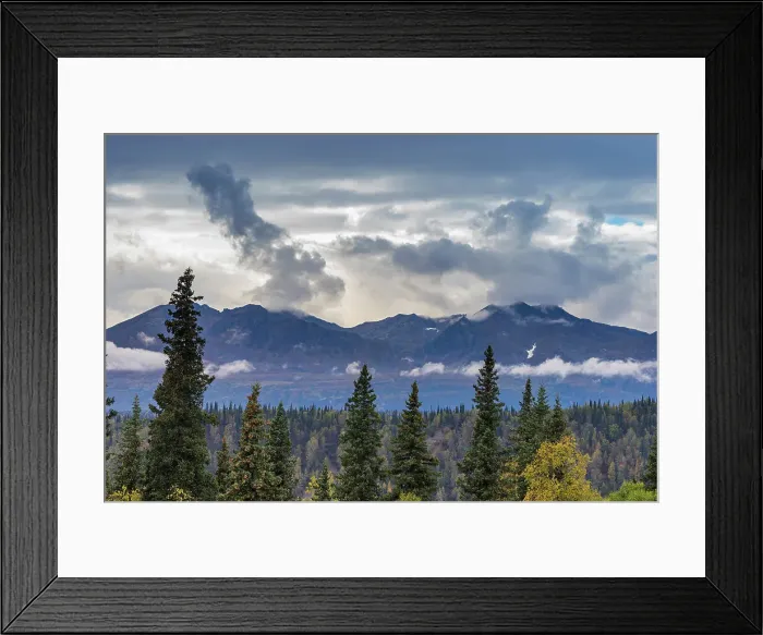 Framed Print : Scenic view of forest and mountains, Denali National Park and Preserve, Alaska, United States of America, North America Framed Print : Scenic view of forest and mountains, Denali National Park and Preserve, Alaska, United States of America, North America