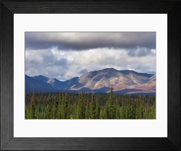 Framed Print : Scenic view of forest and mountains, Denali National Park and Preserve, Alaska, United States of America, North America Framed Print : Scenic view of forest and mountains, Denali National Park and Preserve, Alaska, United States of America, North America