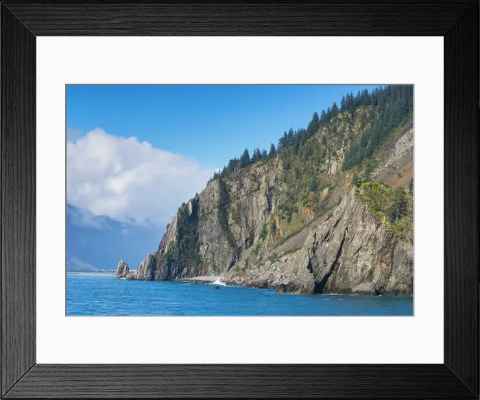 Framed Print : Trees on rock at Resurrection Bay, Seward, Kenai Peninsula Borough, Southcentral Alaska, Alaska, United States of America, North America Framed Print : Trees on rock at Resurrection Bay, Seward, Kenai Peninsula Borough, Southcentral Alaska, Alaska, United States of America, North America