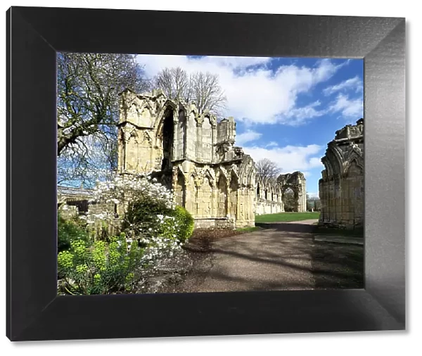 Ruins of St. Marys Abbey in Museum Gardens, York, Yorkshire, England, Unted Kingdom, Europe