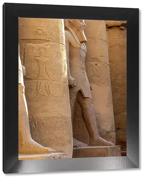 Statue of Ramesses ll, Luxor Temple, Luxor, Thebes, UNESCO World Heritage Site, Egypt, North Africa, Africa