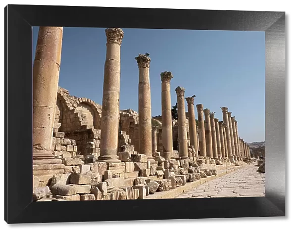 Ancient Roman road with a colonnade in the archaeological site of Jerash, Jordan, Middle East