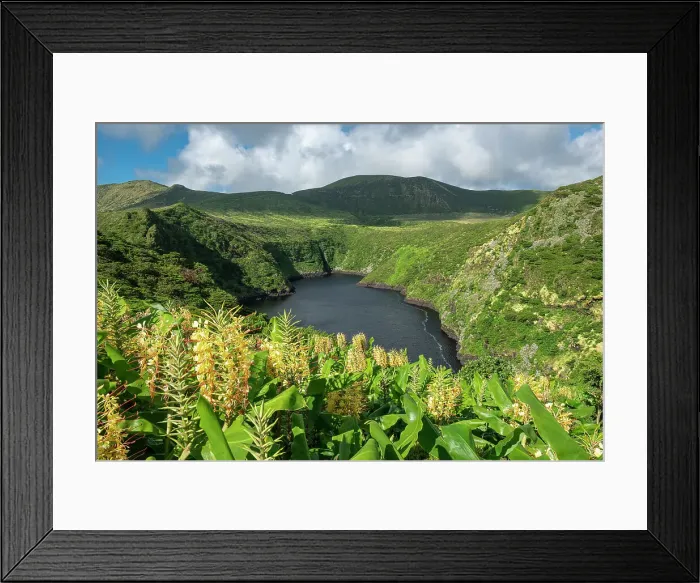 Framed Print : Lagoa Comprida volcanic lake surrounded by vegetations and ginger lily flowers on a sunny day, Flores island, Azores islands, Portugal, Atlantic Ocean, Europe Framed Print : Lagoa Comprida volcanic lake surrounded by vegetations and ginger lily flowers on a sunny day, Flores island, Azores islands, Portugal, Atlantic Ocean, Europe