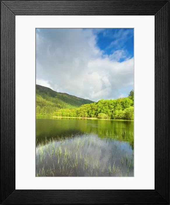 Framed Print : Loch Chon, Loch Lomond and The Trossachs National Park, Scottish Highlands, Scotland, United Kingdom, Europe Framed Print : Loch Chon, Loch Lomond and The Trossachs National Park, Scottish Highlands, Scotland, United Kingdom, Europe