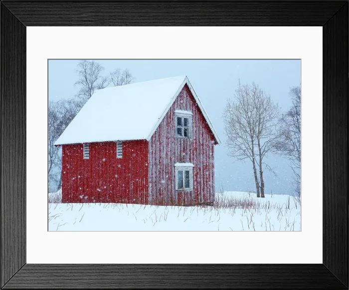 Framed Print : Rorbu, Senja, Troms og Finnmark, north west Norway, Scandinavia, Europe Framed Print : Rorbu, Senja, Troms og Finnmark, north west Norway, Scandinavia, Europe