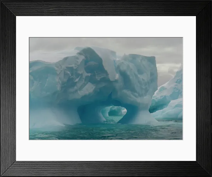 Framed Print : Icebergs, Pleneau Island, Antarctica, Polar Regions Framed Print : Icebergs, Pleneau Island, Antarctica, Polar Regions