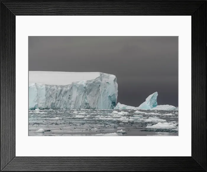 Framed Print : Icebergs in Curtiss Bay, Antarctica, Polar Regions Framed Print : Icebergs in Curtiss Bay, Antarctica, Polar Regions
