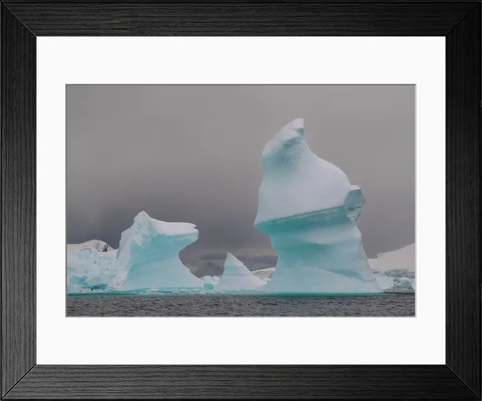 Framed Print : Icebergs, Paradise Bay, Antarctica, Polar Regions Framed Print : Icebergs, Paradise Bay, Antarctica, Polar Regions