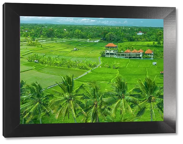 Aerial view of Kajeng Rice Field, Gianyar Regency, Bali, Indonesia, South East Asia, Asia