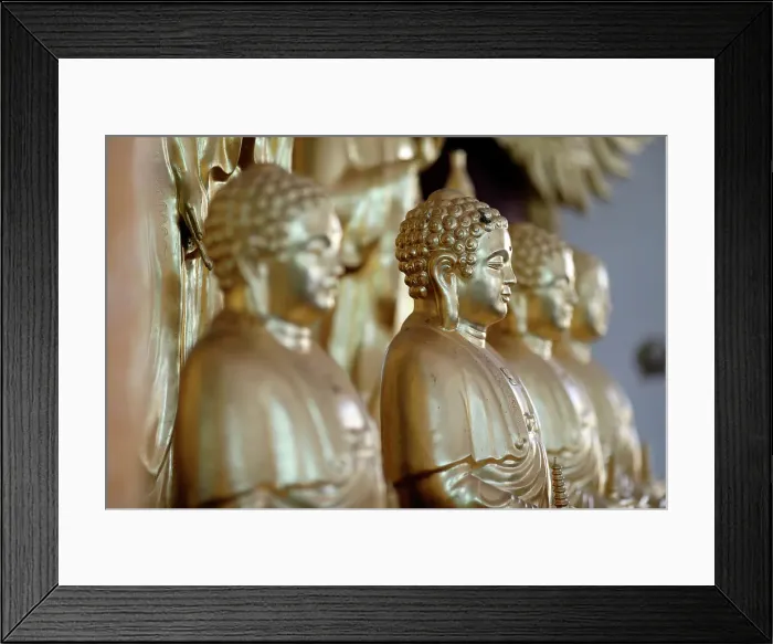 Framed Print : Long Duc Buddhist temple, Golden Buddha statues on altar, Tan Chau, Vietnam, Indochina, Southeast Asia, Asia Framed Print : Long Duc Buddhist temple, Golden Buddha statues on altar, Tan Chau, Vietnam, Indochina, Southeast Asia, Asia