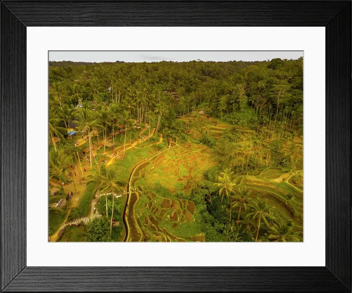 Framed Print : Aerial view of Tegallalang Rice Terrace, UNESCO World Heritage Site, Tegallalang, Kabupaten Gianyar, Bali, Indonesia, South East Asia, Asia Framed Print : Aerial view of Tegallalang Rice Terrace, UNESCO World Heritage Site, Tegallalang, Kabupaten Gianyar, Bali, Indonesia, South East Asia, Asia