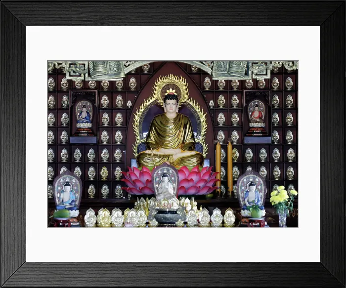 Framed Print : Phat Quang Buddhist Temple, Siddhartha Gautama (the Shakyamuni Buddha) Chau Doc, Vietnam, Indochina, Southeast Asia, Asia Framed Print : Phat Quang Buddhist Temple, Siddhartha Gautama (the Shakyamuni Buddha) Chau Doc, Vietnam, Indochina, Southeast Asia, Asia