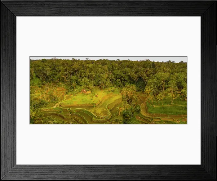 Framed Print : Panoramic aerial view of Tegallalang Rice Terrace, UNESCO World Heritage Site, Tegallalang, Kabupaten Gianyar, Bali, Indonesia, South East Asia, Asia Framed Print : Panoramic aerial view of Tegallalang Rice Terrace, UNESCO World Heritage Site, Tegallalang, Kabupaten Gianyar, Bali, Indonesia, South East Asia, Asia