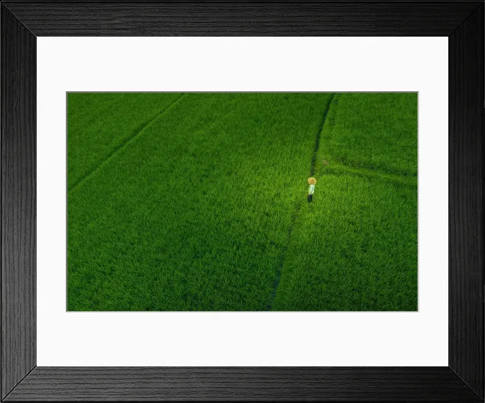 Framed Print : Aerial view rice field worker near Ubud, Ubud, Bali, Indonesia, South East Asia, Asia