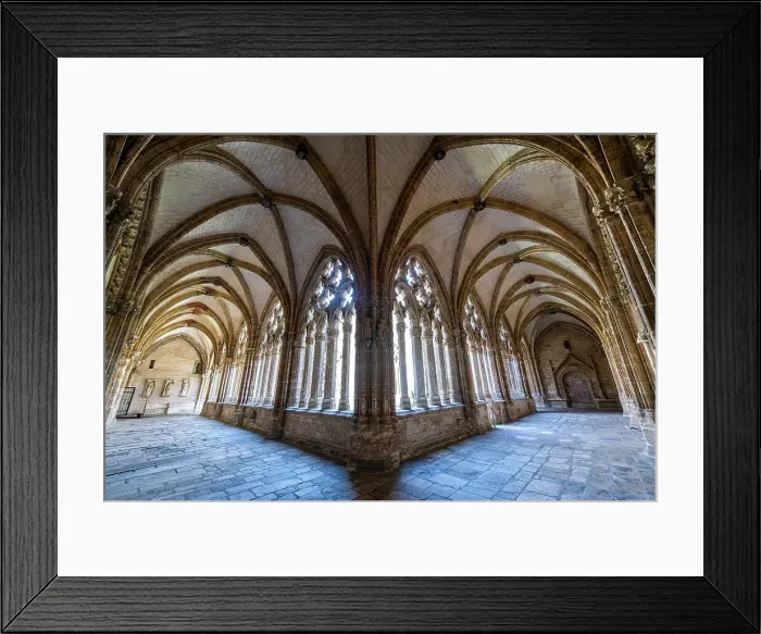 Framed Print : Cloister of the Cathedral of San Salvador, Oviedo, UNESCO World Heritage Site, Asturias, Spain, Europe Framed Print : Cloister of the Cathedral of San Salvador, Oviedo, UNESCO World Heritage Site, Asturias, Spain, Europe