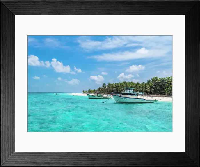 Framed Print : Little boats before a palm fringed white sand beach, Agatti Island, Lakshadweep archipelago, Union territory of India, Indian Ocean, Asia Framed Print : Little boats before a palm fringed white sand beach, Agatti Island, Lakshadweep archipelago, Union territory of India, Indian Ocean, Asia