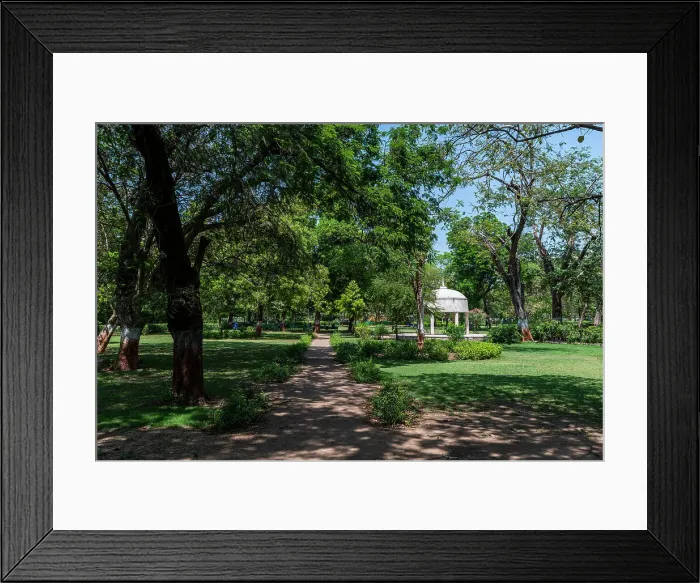 Framed Print : Law Garden, Ahmedabad, Gujarat, India, Asia