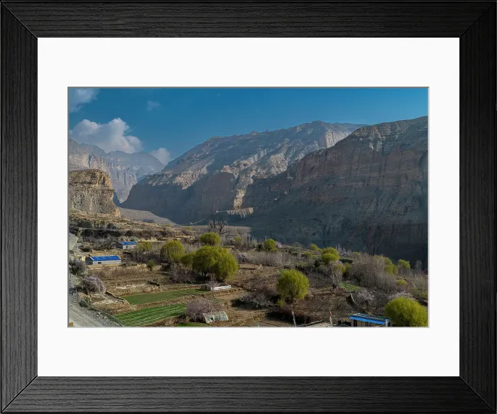Framed Print : Apple trees, Kingdom of Mustang, Himalayas, Nepal, Asia Framed Print : Apple trees, Kingdom of Mustang, Himalayas, Nepal, Asia