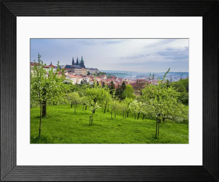 Framed Print : Prague Castle and Patrin Gardens in spring, Prague, Bohemia, Czech Republic (Czechia), Europe Framed Print : Prague Castle and Patrin Gardens in spring, Prague, Bohemia, Czech Republic (Czechia), Europe
