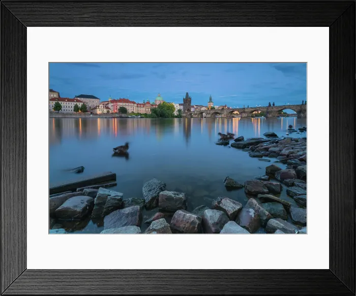Framed Print : Ducks in Vltava river near Charles Bridge at twilight, Prague, Czech Republic (Czechia), Europe Framed Print : Ducks in Vltava river near Charles Bridge at twilight, Prague, Czech Republic (Czechia), Europe