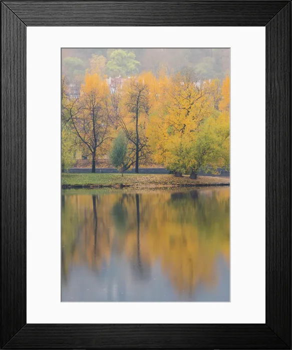 Framed Print : Reflections of colorful trees on Shooters Island (Strelecky ostrov) on Vltava River in autumn, Prague, Czech Republic (Czechia), Europe Framed Print : Reflections of colorful trees on Shooters Island (Strelecky ostrov) on Vltava River in autumn, Prague, Czech Republic (Czechia), Europe