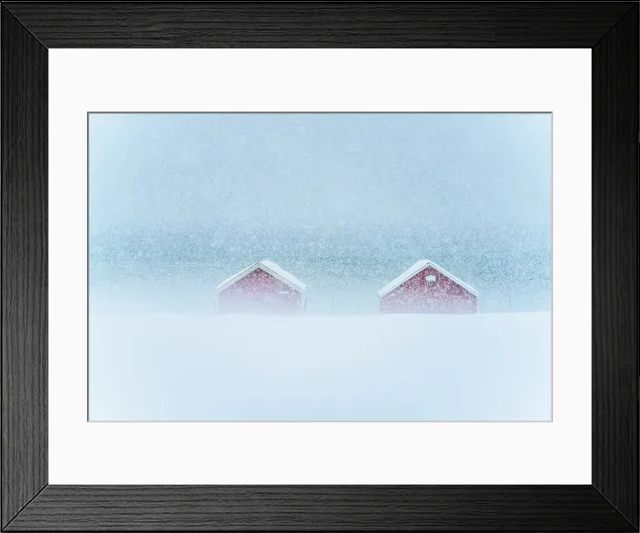 Framed Print : Red cabins in the mist during a heavy snowfall, Troms county, Norway, Scandinavia, Europe Framed Print : Red cabins in the mist during a heavy snowfall, Troms county, Norway, Scandinavia, Europe