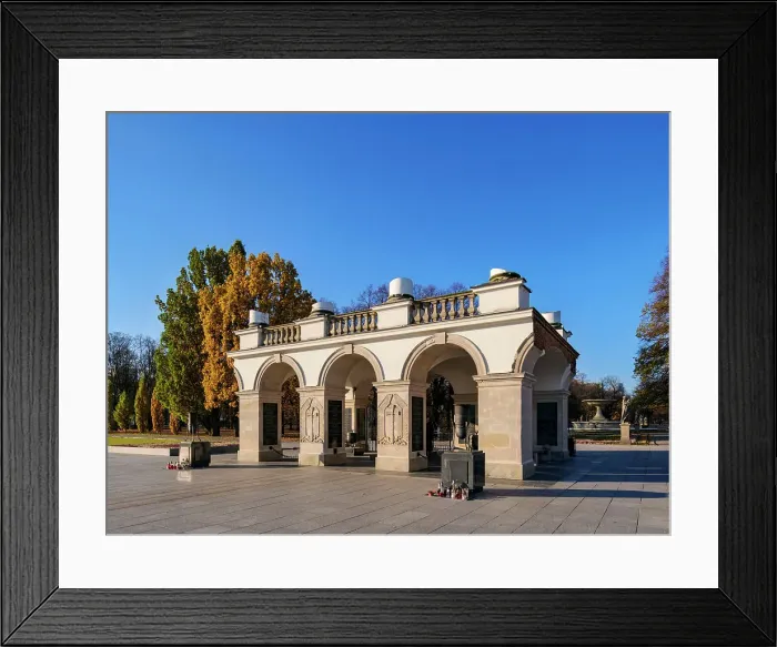 Framed Print : Tomb of the Unknown Soldier, Warsaw, Masovian Voivodeship, Poland, Europe Framed Print : Tomb of the Unknown Soldier, Warsaw, Masovian Voivodeship, Poland, Europe