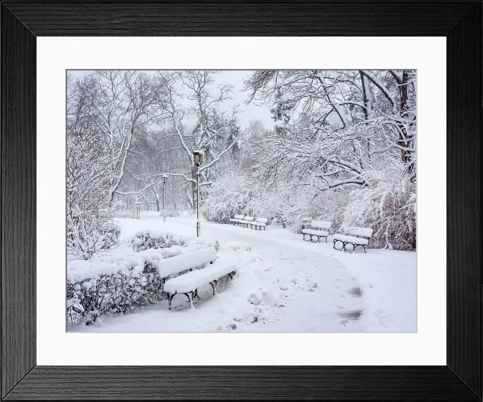 Framed Print : Saxon Garden, winter, Warsaw, Masovian Voivodeship, Poland, Europe Framed Print : Saxon Garden, winter, Warsaw, Masovian Voivodeship, Poland, Europe