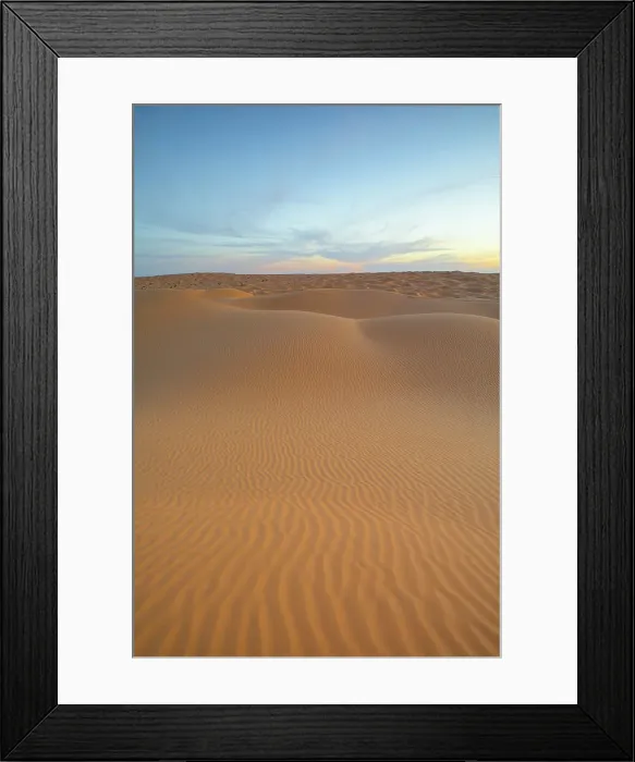 Framed Print : Spring sunset at the gates of the Sahara desert, with the sand dunes illuminated by the golden light, Tunisia, North Africa, Africa Framed Print : Spring sunset at the gates of the Sahara desert, with the sand dunes illuminated by the golden light, Tunisia, North Africa, Africa