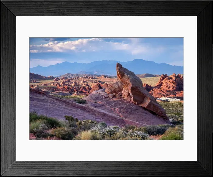 Framed Print : Rock formations and desert landscape at sunset, Valley of Fire State Park, Nevada, United States of America, North America Framed Print : Rock formations and desert landscape at sunset, Valley of Fire State Park, Nevada, United States of America, North America