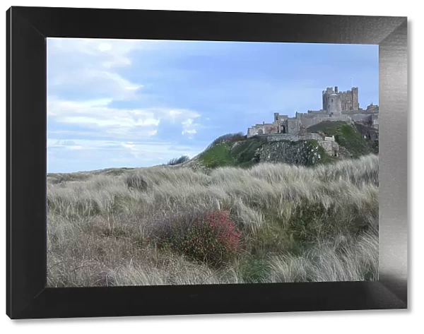 Bamburgh Castle, Bamburgh, Northumberland Coast, Northumbria, England, United Kingdom, Europe