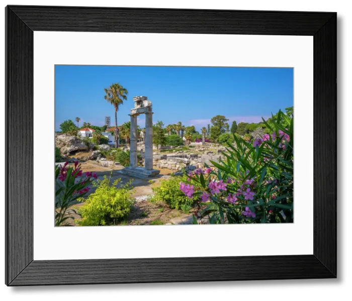 Framed Print : View of Ancient Agora, Kos Town, Kos, Dodecanese, Greek Islands, Greece, Europe Framed Print : View of Ancient Agora, Kos Town, Kos, Dodecanese, Greek Islands, Greece, Europe