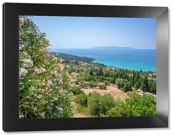 View of olive groves and coastline near Lourdata, Kefalonia, Ionian Islands, Greek Islands, Greece, Europe