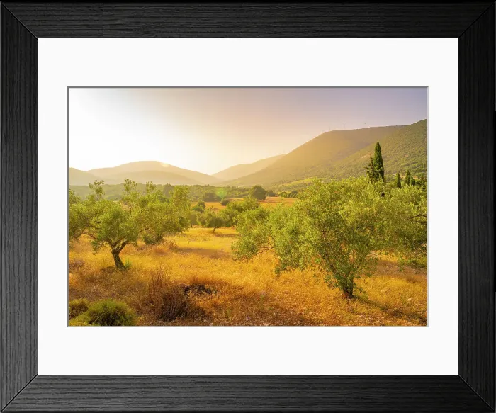 Framed Print : View of olive groves near Poulata, Kefalonia, Ionian Islands, Greek Islands, Greece, Europe Framed Print : View of olive groves near Poulata, Kefalonia, Ionian Islands, Greek Islands, Greece, Europe