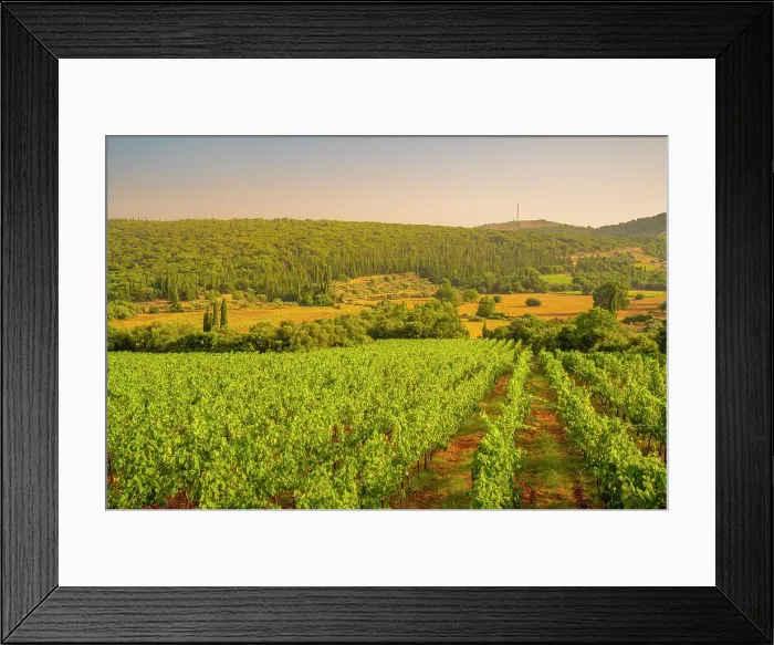 Framed Print : View of vineyards near Poulata, Kefalonia, Ionian Islands, Greek Islands, Greece, Europe Framed Print : View of vineyards near Poulata, Kefalonia, Ionian Islands, Greek Islands, Greece, Europe